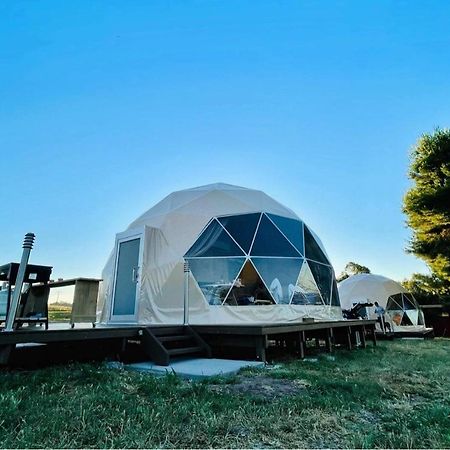 Hillview Farmstay Gundagai Εξωτερικό φωτογραφία