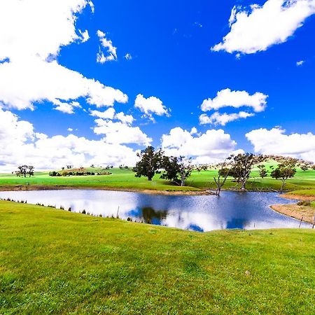 Hillview Farmstay Gundagai Εξωτερικό φωτογραφία