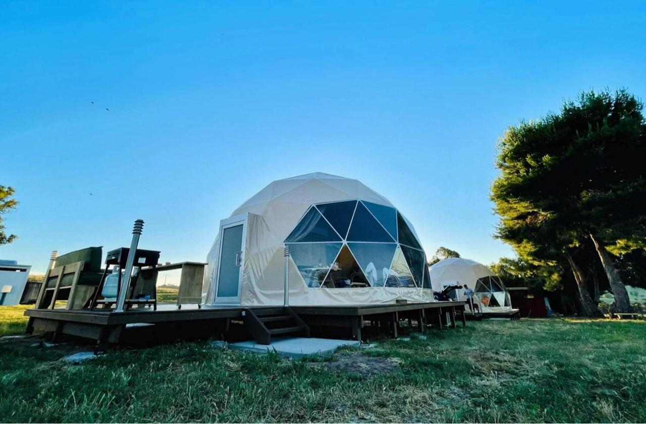 Hillview Farmstay Gundagai Εξωτερικό φωτογραφία