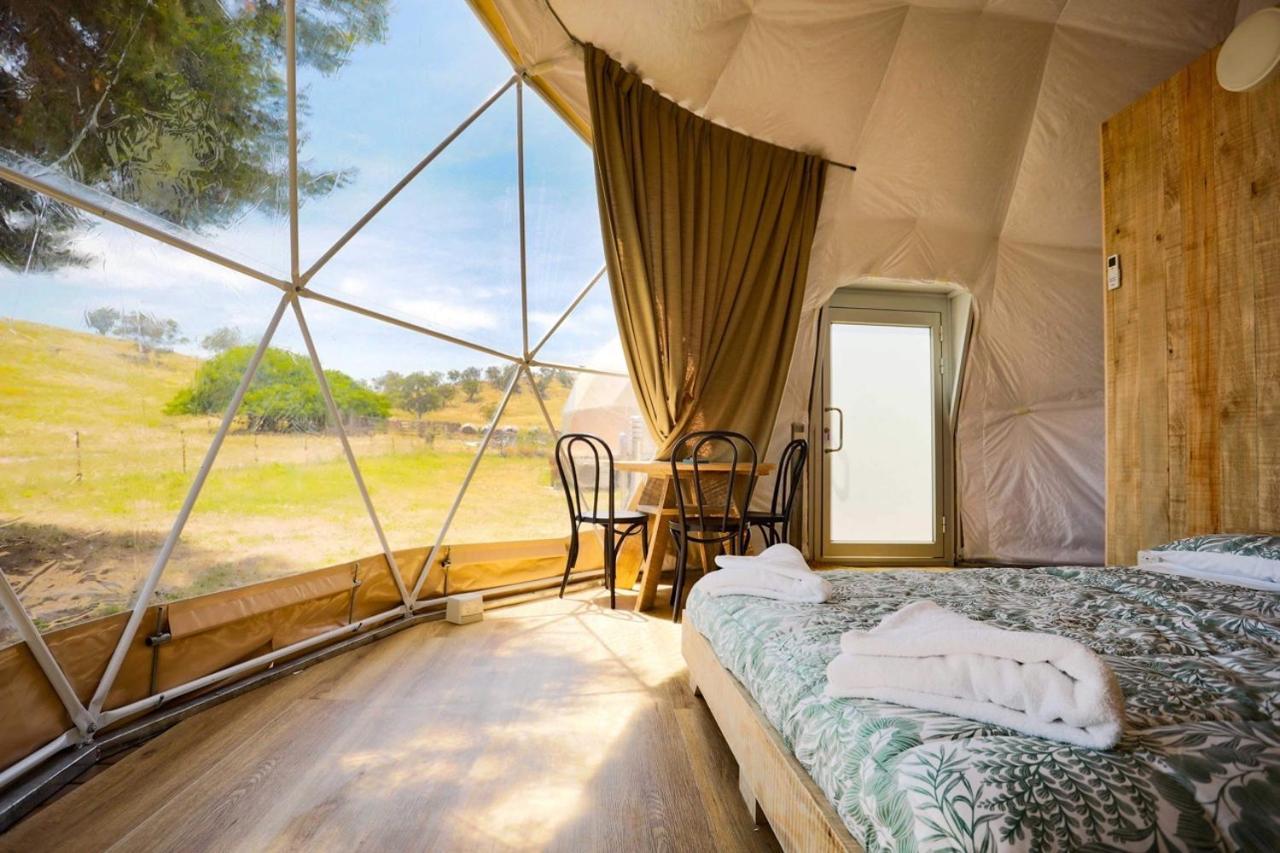 Hillview Farmstay Gundagai Εξωτερικό φωτογραφία