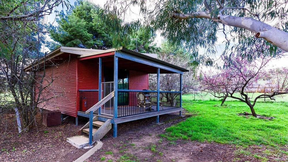 Hillview Farmstay Gundagai Εξωτερικό φωτογραφία