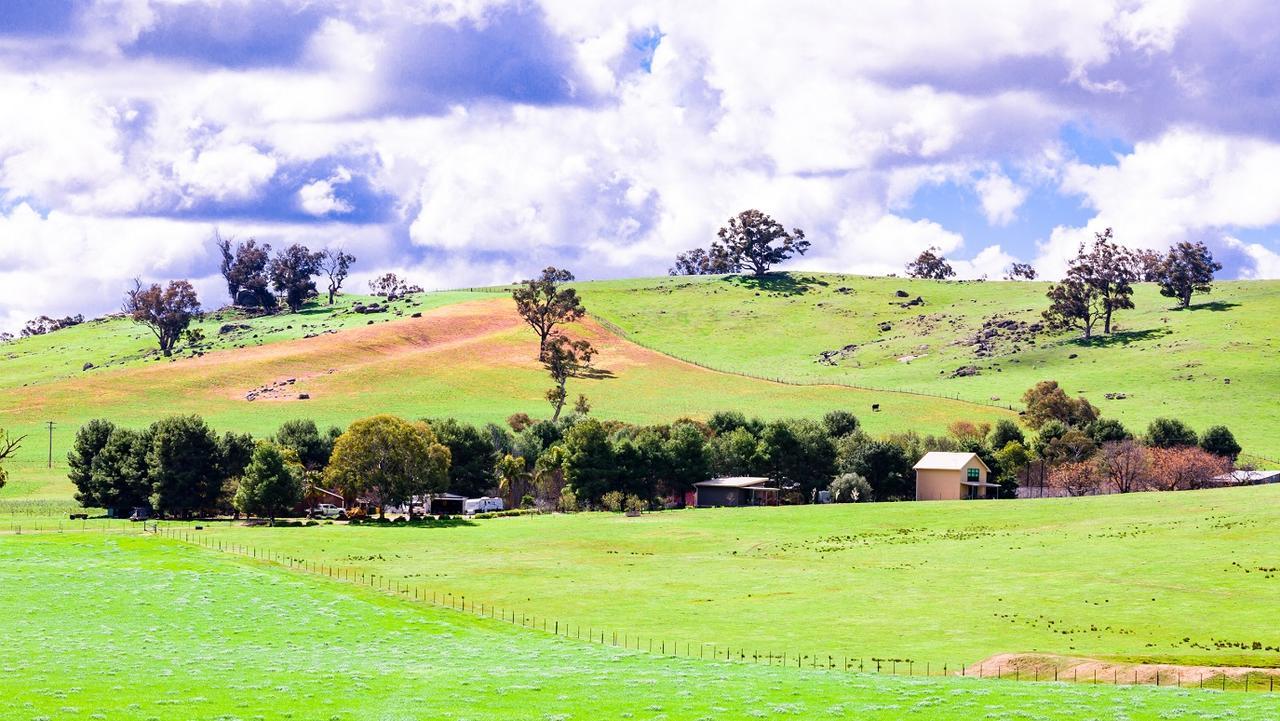 Hillview Farmstay Gundagai Εξωτερικό φωτογραφία