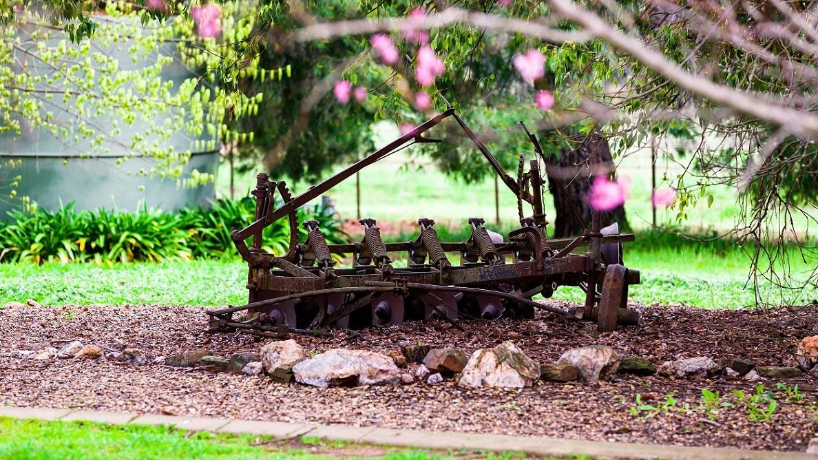 Hillview Farmstay Gundagai Εξωτερικό φωτογραφία