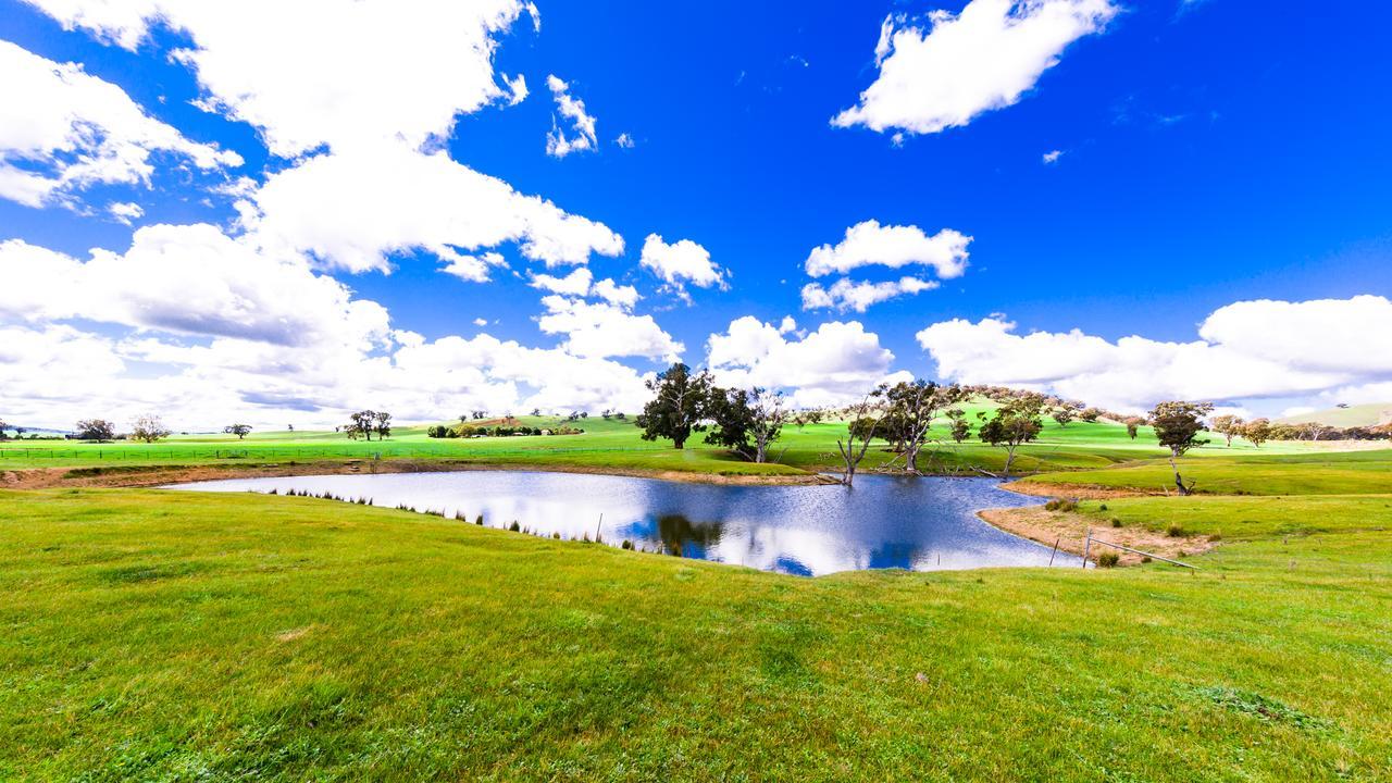 Hillview Farmstay Gundagai Εξωτερικό φωτογραφία
