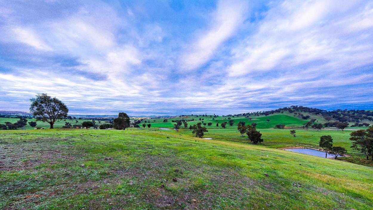 Hillview Farmstay Gundagai Εξωτερικό φωτογραφία