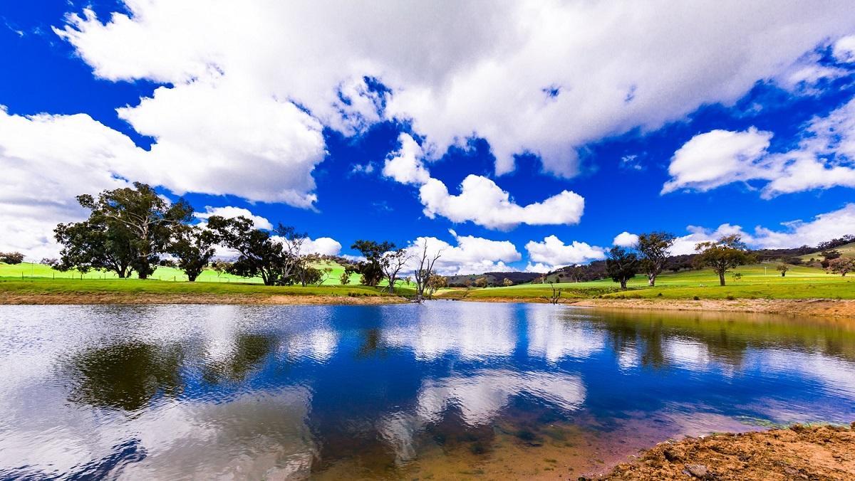 Hillview Farmstay Gundagai Εξωτερικό φωτογραφία