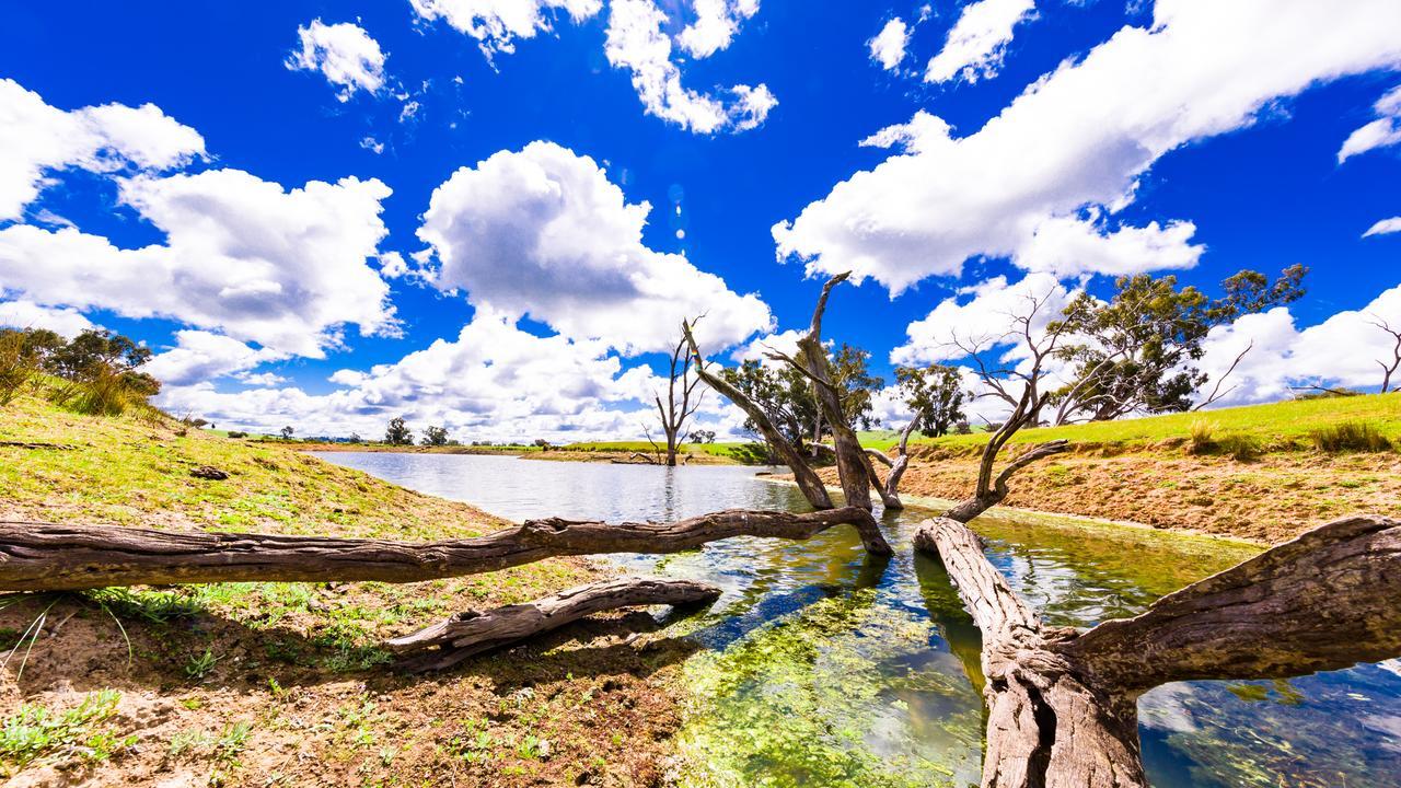 Hillview Farmstay Gundagai Εξωτερικό φωτογραφία