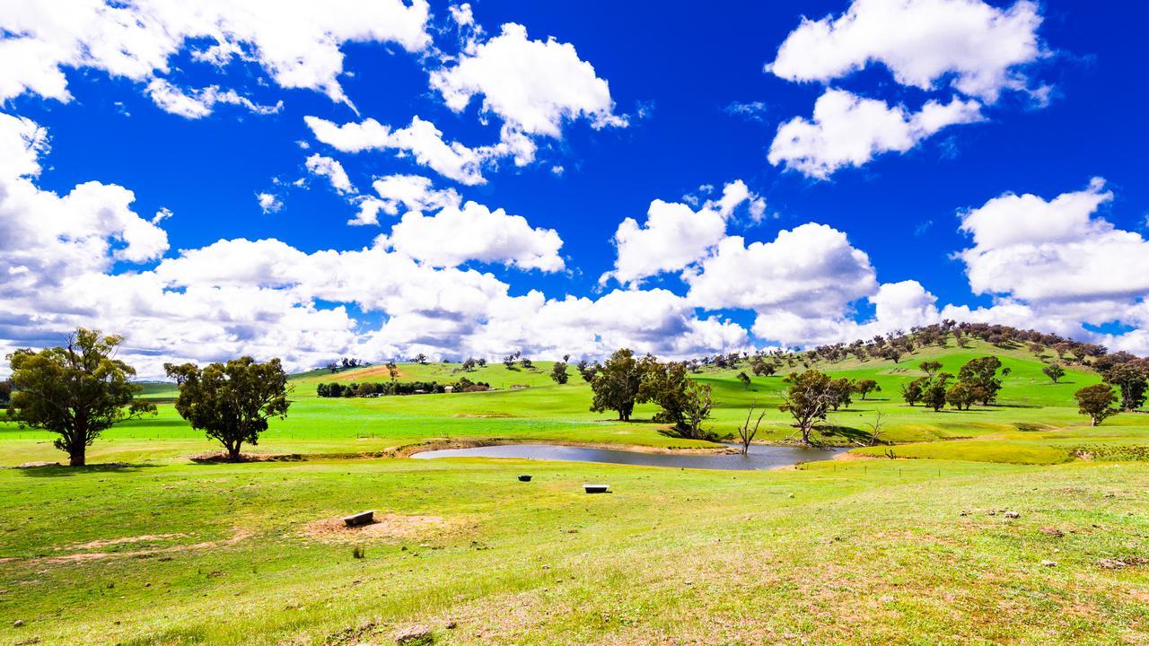 Hillview Farmstay Gundagai Εξωτερικό φωτογραφία