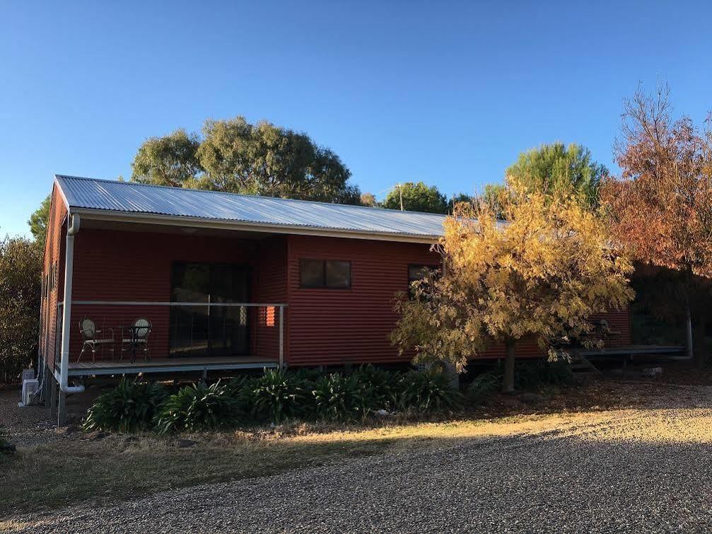 Hillview Farmstay Gundagai Εξωτερικό φωτογραφία