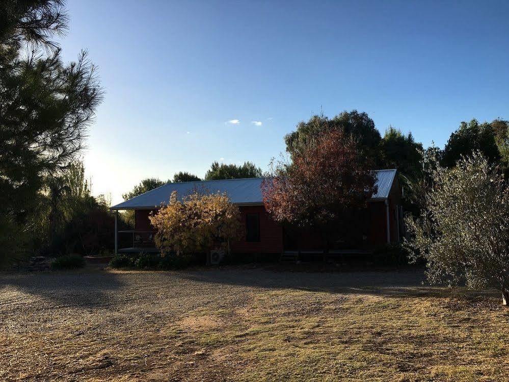 Hillview Farmstay Gundagai Εξωτερικό φωτογραφία