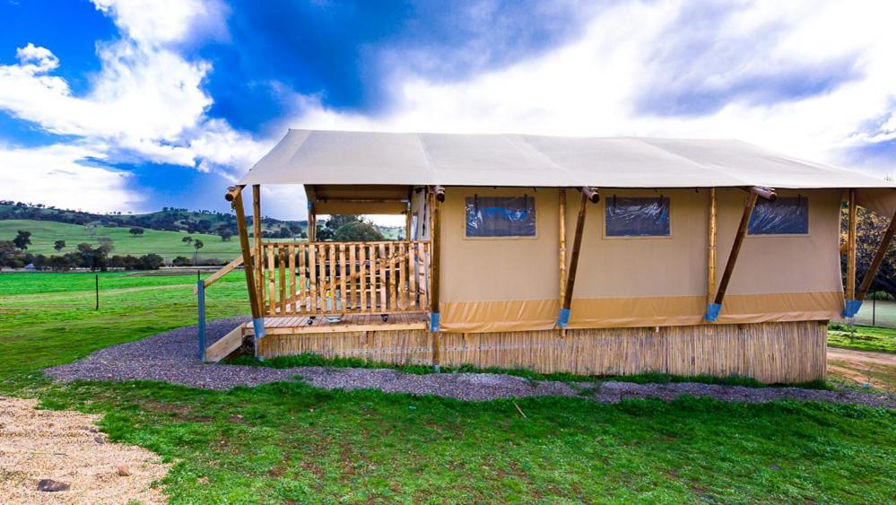 Hillview Farmstay Gundagai Εξωτερικό φωτογραφία