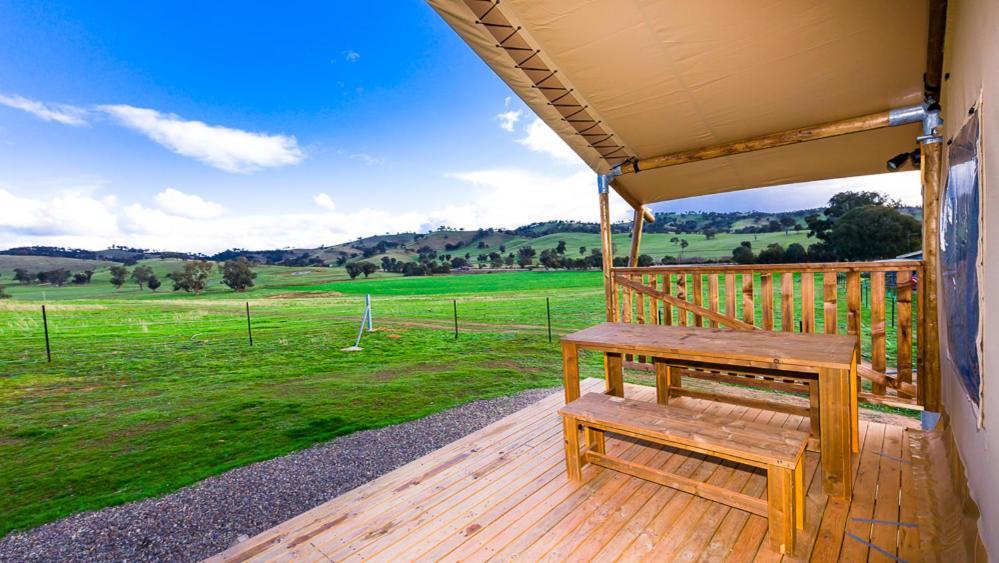 Hillview Farmstay Gundagai Εξωτερικό φωτογραφία